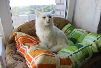 3 — копия.JPG