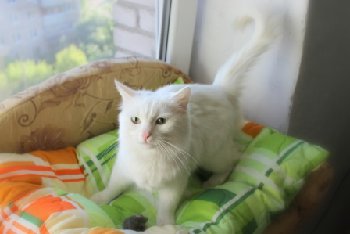 12 — копия.jpg