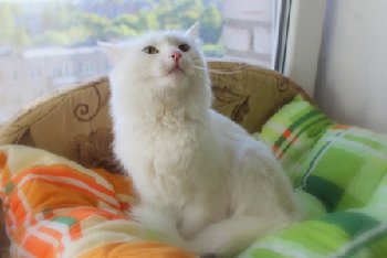 15 — копия.jpg