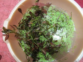 IMG_3349 (640x480).jpg