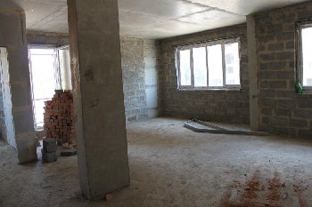 IMG_7328.JPG