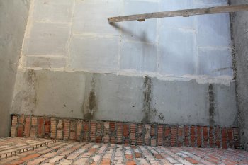 IMG_7337.JPG