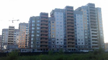 IMAG0786.jpg