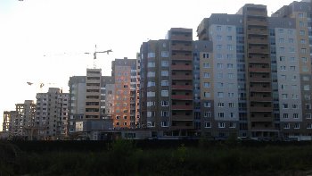 IMAG0787.jpg