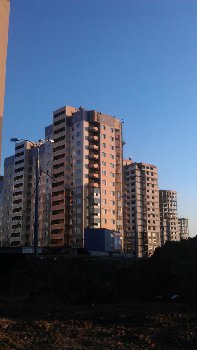IMAG0783.jpg