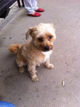 Ленинградская улица Топик — копия.jpg