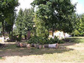 P7263532.JPG