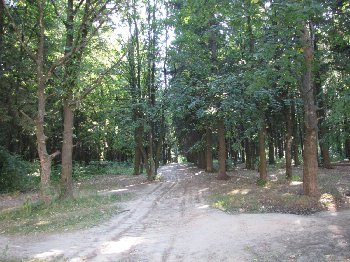 От Бородино.jpg