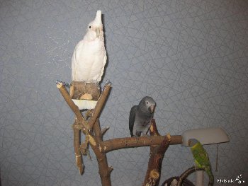 IMG_1645.JPG