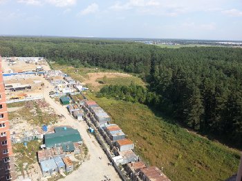 Вид из окон..