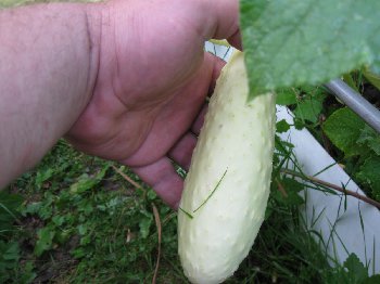 книшки 006.jpg