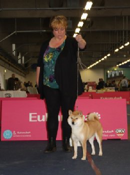 Copperdots Beikoku Riko (Riko) ERI VAK1 SERT, MVA CACIB Лучшая сука  Чемпионка Мира  2014