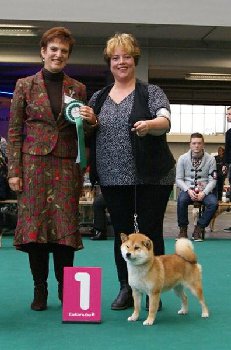 Copperdots Beikoku Riko (Riko) ERI VAK1 SERT, MVA CACIB Лучшая сука  Чемпионка Мира  2014