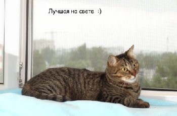 Лучшая на свете.JPG