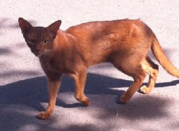 3khKisZVtRY — копия.jpg