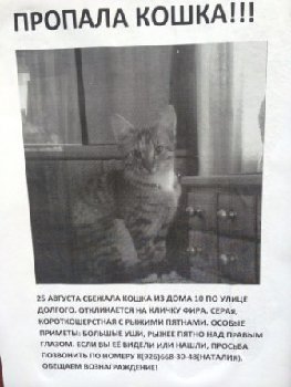 25 августа на Южном пропала — копия.jpg