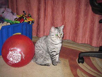 IMG_5848.jpg
