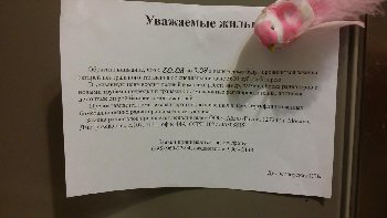 20140829_221801.jpg