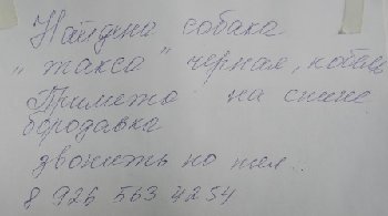 DSCN9900.JPG