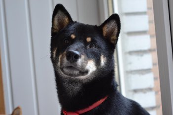 DSC_0019.JPG