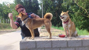 учимся стоять