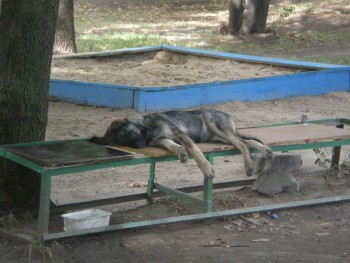 &quot;детская площадка&quot; -)))