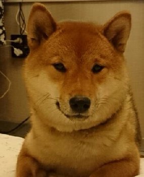 РиМаРо Бьякко