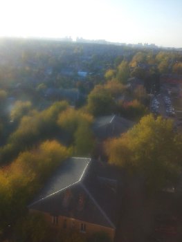 вид из окна комнаты