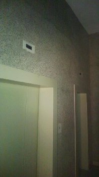 WP_20141004_003.jpg