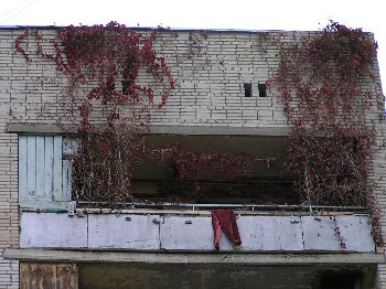 50 лет ВЛКСМ