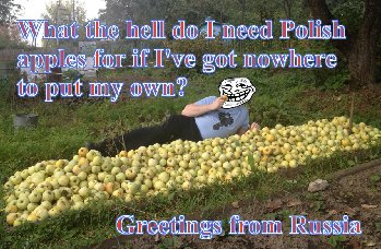 Нахрена мне польские яблоки, если свои девать некуда?