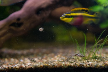 9 октябрь 2014 г. полная версия (1 из 1).jpg