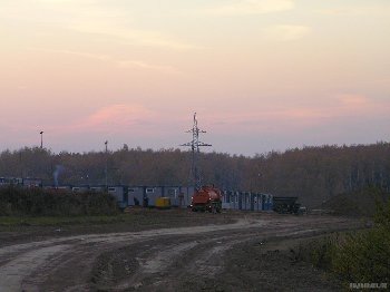 11693.jpg
