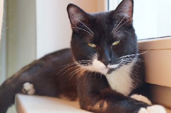 tm41i7f2bt0 (Custom).jpg