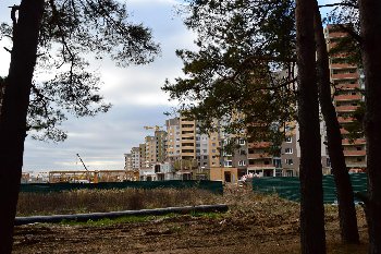 Фото со стороны леса.