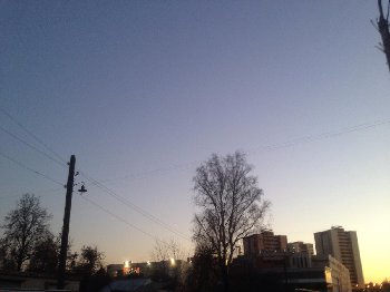 image.jpg