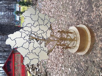 Дерево, так понимаю, область Московская?