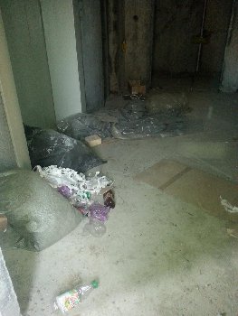 20141104_142911.jpg