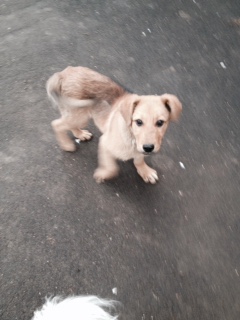 FullSizeRender (1).jpg