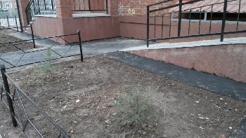 Елочки, сосеночки...