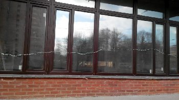 Вот так испачкали окна.
