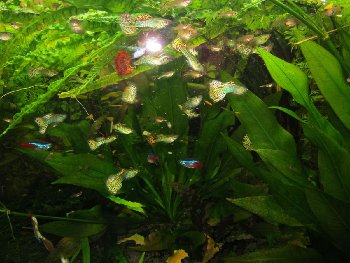 IMG_2592 %281280x960%29.jpg