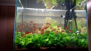 20141106_124238.jpg