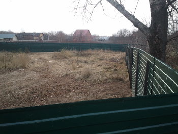 2014-11-17 11.42.09.jpg