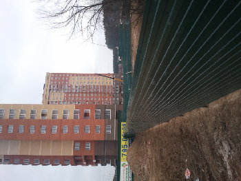 2014-11-17 11.42.48.jpg