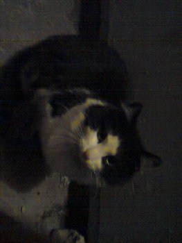 ФОТКА ТОЛЬКО ТАКАЯ