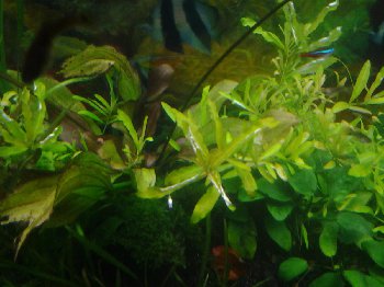 20141125_215325.jpg