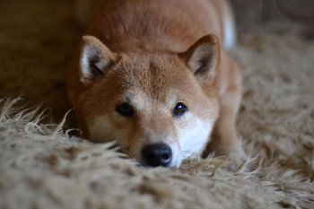 это наша молодая бабушка, еще не знает о таком событии