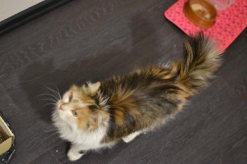 DSC_9539.JPG