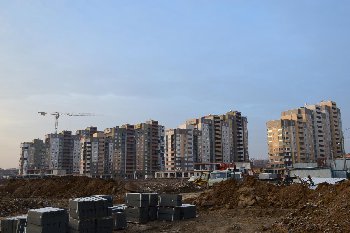 DSC_0590.JPG